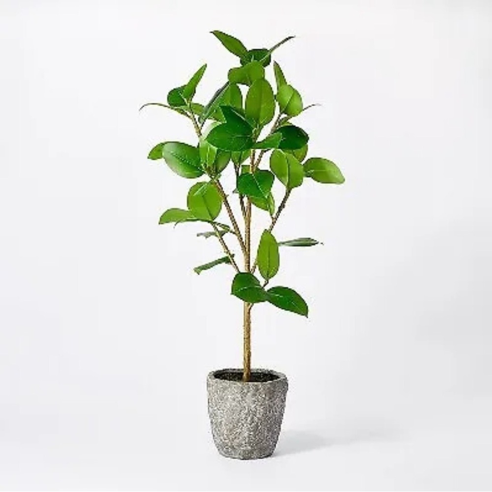 Banyan Tree Potted Threshold designed with Studio McGee Target 36" Tall